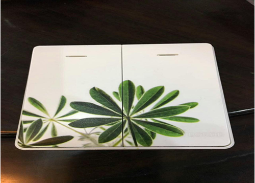 ��������Ʒ�ƿ��ֶ٣����ĵ��й���������Ʒ��